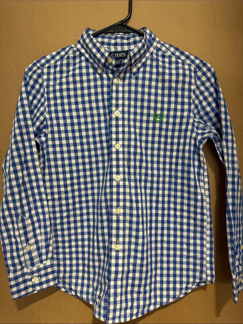 YOUTH Chaps Blue & White Gingham Shirt with Green Logo